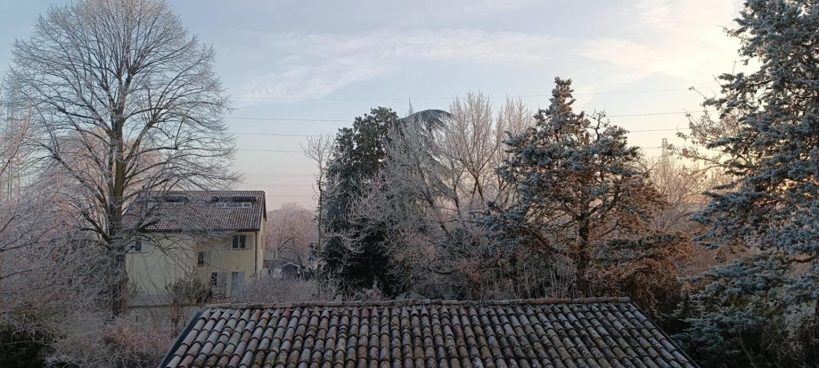 Acero Giallo Parma Esterno foto